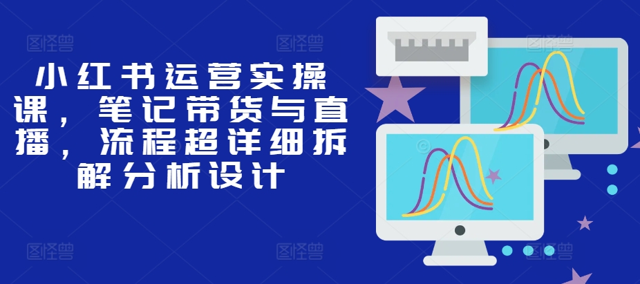 小红书运营实操课，笔记带货与直播，流程超详细拆解分析设计-天韵资源网