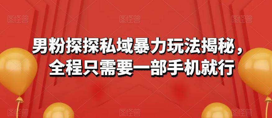 男粉探探私域暴力玩法揭秘，全程只需要一部手机就行-天韵资源网