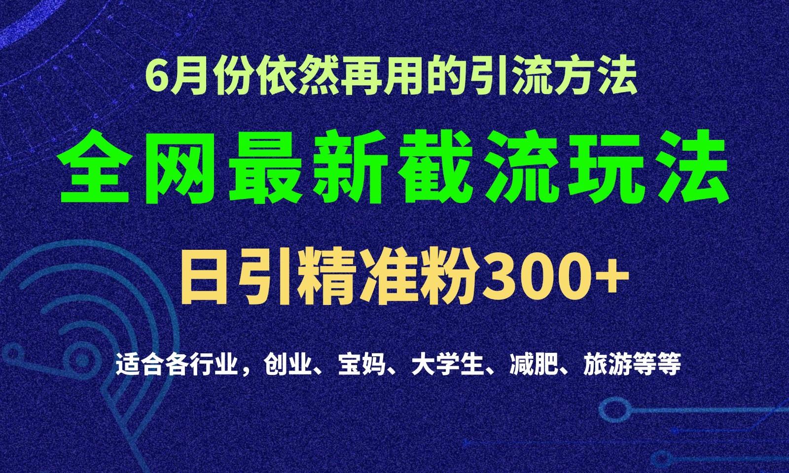 2024全网最新截留玩法，每日引流突破300+-天韵资源网