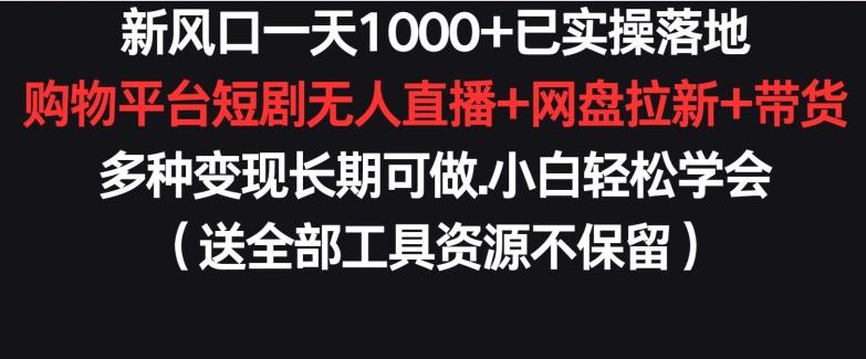 新风口一天1000+已实操落地购物平台短剧无人直播+网盘拉新+带货多种变现长期可做【揭秘】-天韵资源网