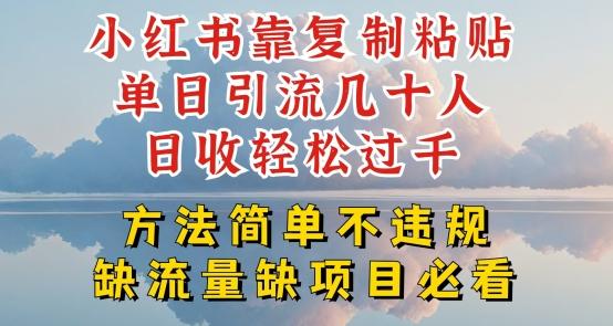 小红书靠复制粘贴单日引流几十人目收轻松过千，方法简单不违规【揭秘】-天韵资源网