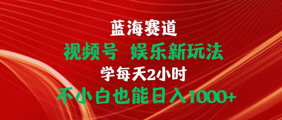 蓝海赛道视频号 娱乐新玩法每天2小时小白也能日入1000+-天韵资源网