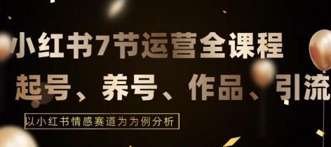 7节小红书运营实战全教程，结合最新情感赛道，打通小红书运营全流程【揭秘】-天韵资源网
