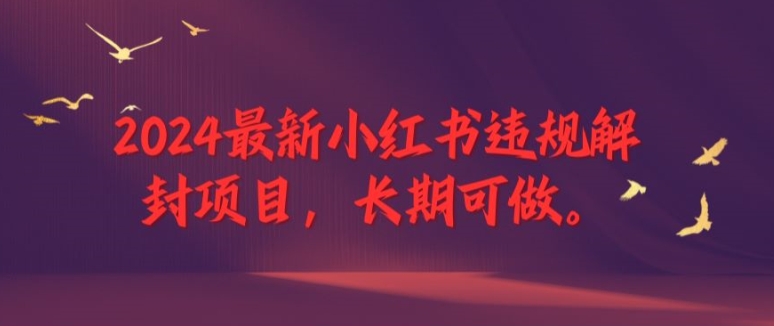 2024最新小红书违规解封项目，长期可做，一个可以做到退休的项目【揭秘】-天韵资源网