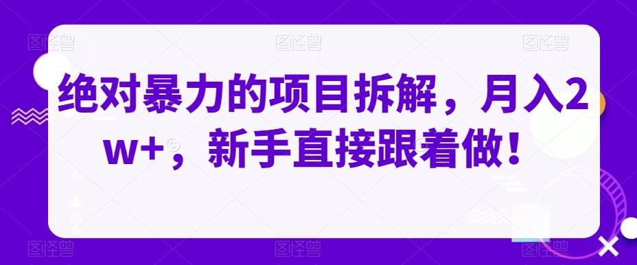 绝对暴力的项目拆解，月入2w+，新手直接跟着做！-天韵资源网