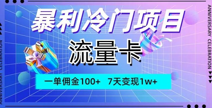暴利冷门项目，流量卡，一单佣金100+，7天变现1w+-天韵资源网