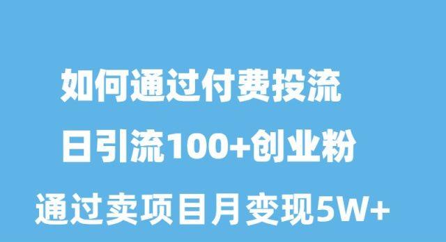 如何通过付费投流日引流100+创业粉月变现5W+-天韵资源网