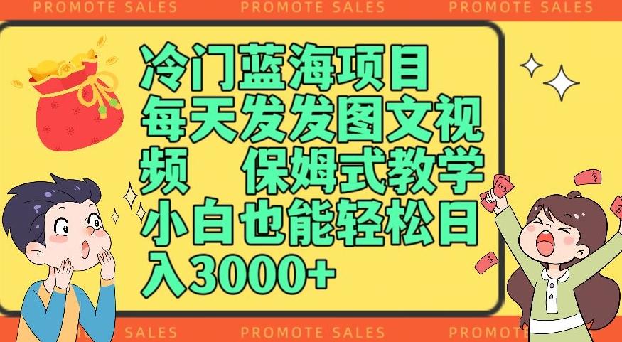 冷门蓝海项目，每天发发图文视频，保姆式教学，小白也能轻松日入3000+-天韵资源网
