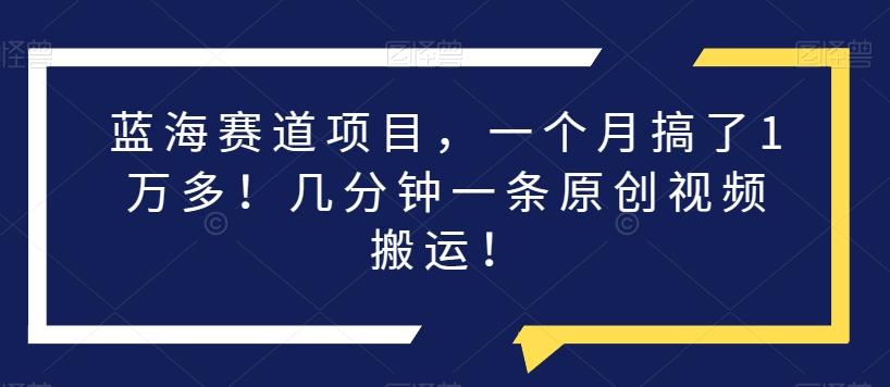 蓝海赛道项目，一个月搞了1万多！几分钟一条原创视频搬运！-天韵资源网