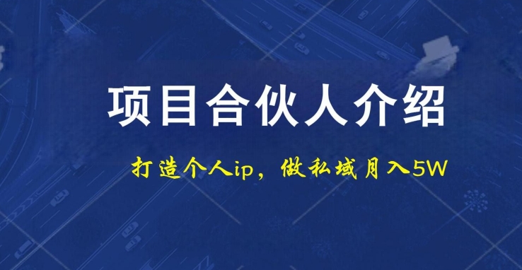 项目合伙人项目，打造个人IP，做私域月入5W，小白勿扰-天韵资源网