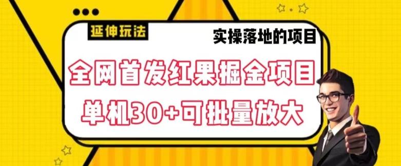 全网首发红果免费短剧掘金项目，单机30+可批量放大【揭秘】-天韵资源网