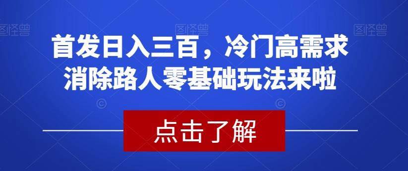 首发日入三百，冷门高需求消除路人零基础玩法来啦【揭秘】-天韵资源网