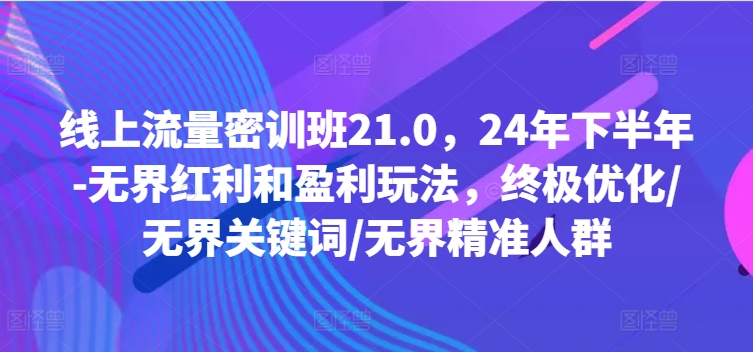 线上流量密训班21.0，24年下半年-无界红利和盈利玩法，终极优化/无界关键词/无界精准人群-天韵资源网