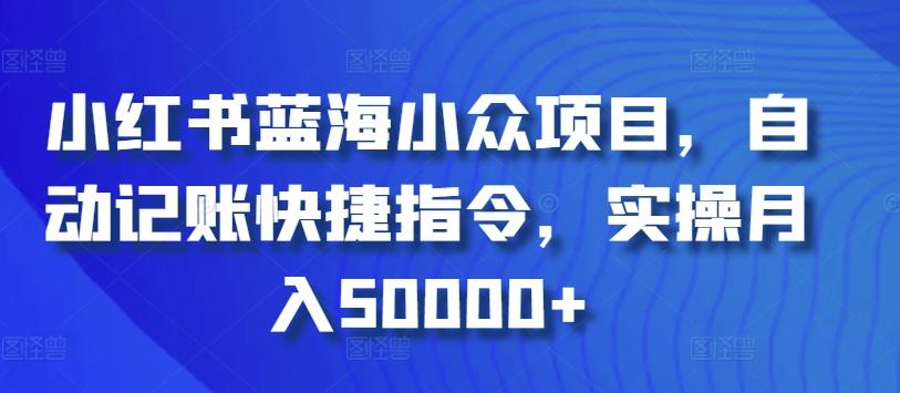 小红书蓝海小众项目，自动记账快捷指令，实操月入50000+【揭秘】-天韵资源网