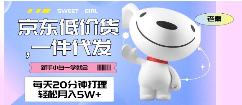 每天20分钟打理京东低价货，一件代发-轻松月入5W＋-天韵资源网