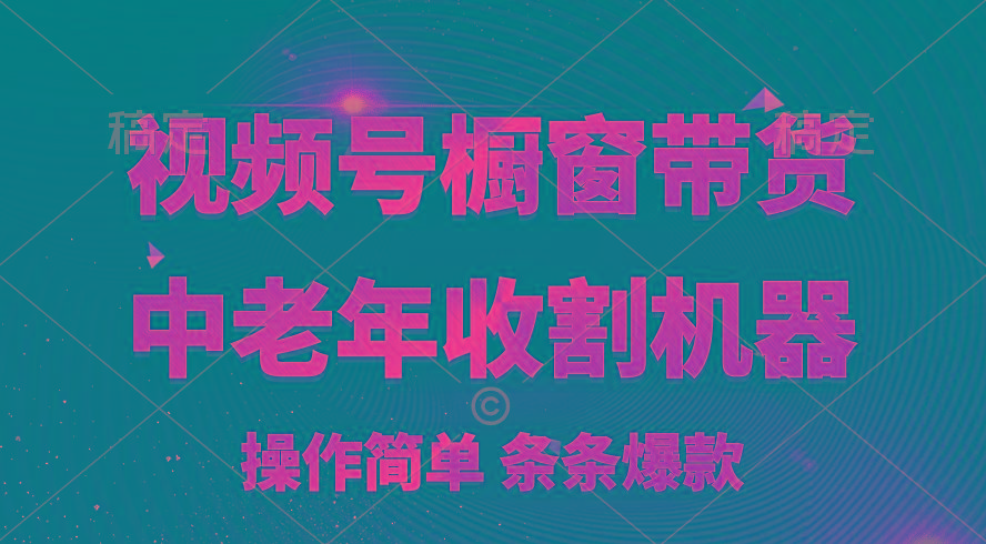 [你的孩子成功取得高位]视频号最火爆赛道，橱窗带货，流量分成计划，条…-天韵资源网