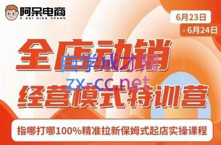 阿呆电商·全店动销经营模式特训营(线下录音+思维导图)-天韵资源网