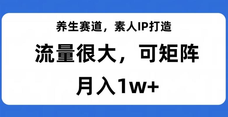 养生赛道，素人IP打造，流量很大，可矩阵，月入1w+【揭秘】-天韵资源网