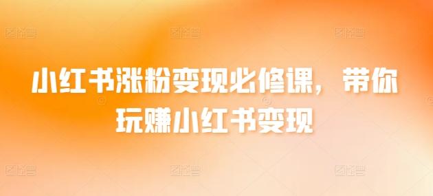 小红书涨粉变现必修课，带你玩赚小红书变现-天韵资源网