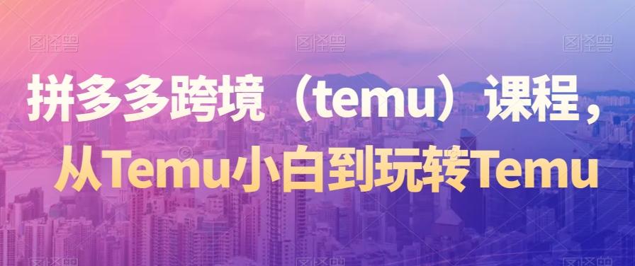 拼多多跨境（temu）课程，从Temu小白到玩转Temu-天韵资源网