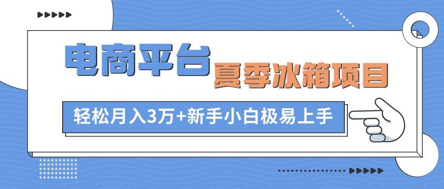 电商平台夏季冰箱项目，轻松月入3万+，新手小白极易上手-天韵资源网
