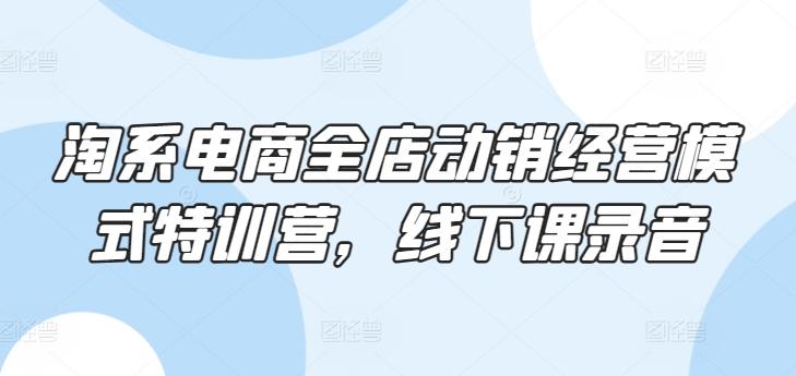 淘系电商全店动销经营模式特训营，线下课录音-天韵资源网