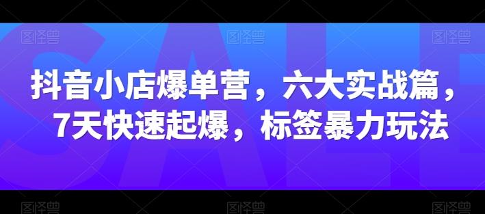 抖音小店爆单营，六大实战篇，7天快速起爆，标签暴力玩法-天韵资源网