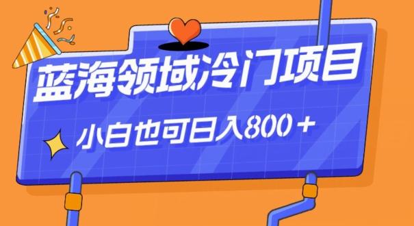 蓝海领域冷门赛道，一单39.9，日入800＋-天韵资源网
