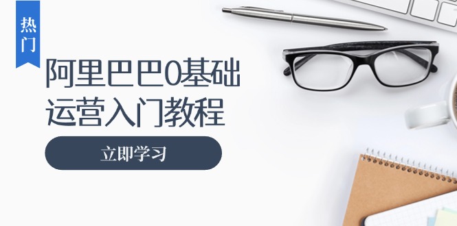 阿里巴巴运营零基础入门教程：涵盖开店、运营、推广，快速成为电商高手-天韵资源网