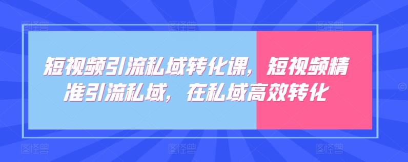 短视频引流私域转化课，短视频精准引流私域，在私域高效转化-天韵资源网