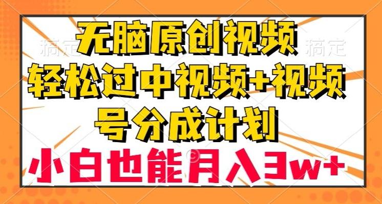 无脑原创视频，轻松过中视频+视频号分成计划，小白也能月入3w+【揭秘】-天韵资源网