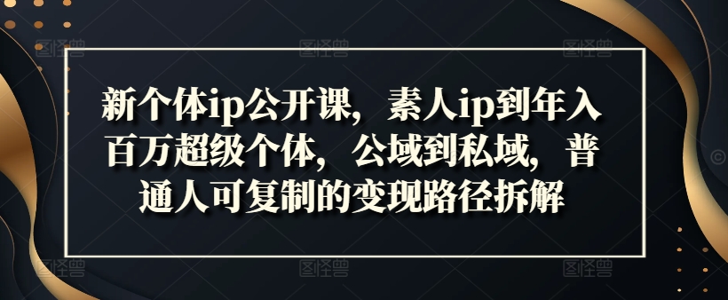 新个体ip公开课，素人ip到年入百万超级个体，公域到私域，普通人可复制的变现路径拆解-天韵资源网
