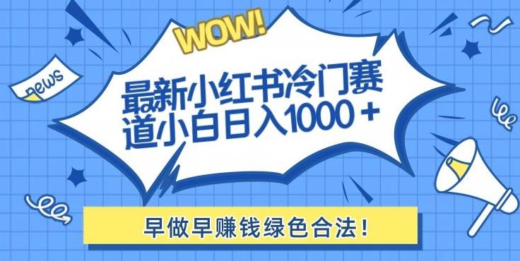 最新小红书冷门赛道日入1000+一部手机小白轻松-天韵资源网