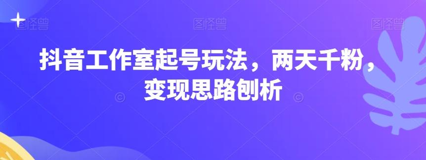 抖音工作室起号玩法，两天千粉，变现思路刨析-天韵资源网