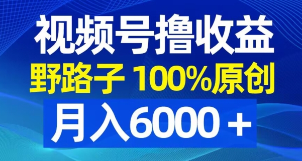 视频号野路子撸收益，100%原创，条条爆款，月入6000＋【揭秘】-天韵资源网