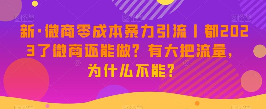 新·微商零成本暴力引流丨都2023了微商还能做？有大把流量，为什么不能？-天韵资源网