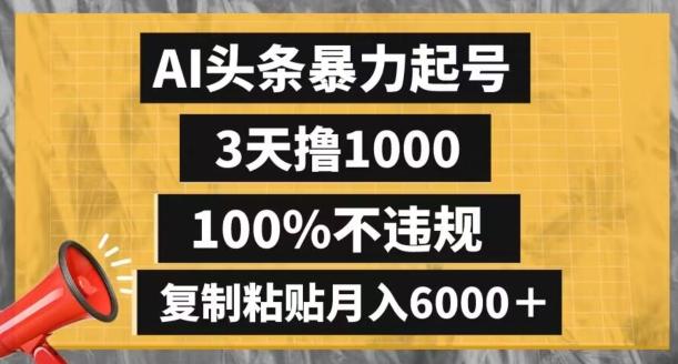 AI头条暴力起号，3天撸1000,100%不违规，复制粘贴月入6000＋【揭秘】-天韵资源网