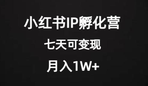 价值2000+的小红书IP孵化营项目，超级大蓝海，七天即可开始变现，稳定月入1W+-天韵资源网