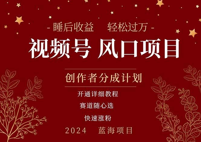 拥有睡眠收益的微信视频号大风口项目，轻松月入过万+，多赛道选择，可…-天韵资源网