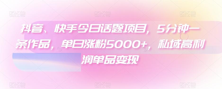 抖音、快手今日话题项目，5分钟一条作品，单日涨粉5000+，私域高利润单品变现-天韵资源网