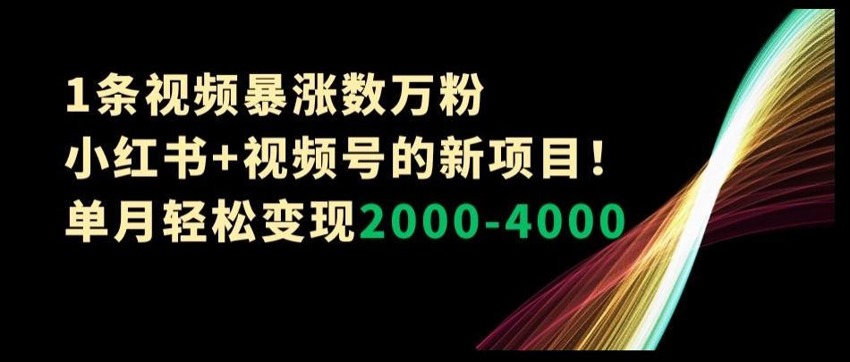 1条视频暴涨数万粉–小红书+视频号的新项目！单月轻松变现2000-4000【揭秘】-天韵资源网