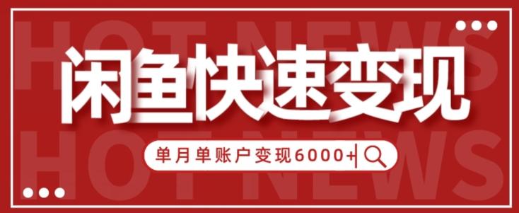 【新手项目】小白快速在闲鱼单月单账号变现6000+的秘密-天韵资源网