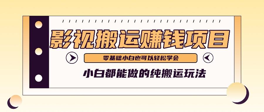 手把手教你操作影视搬运项目，小白都能做零基础也能赚钱-天韵资源网