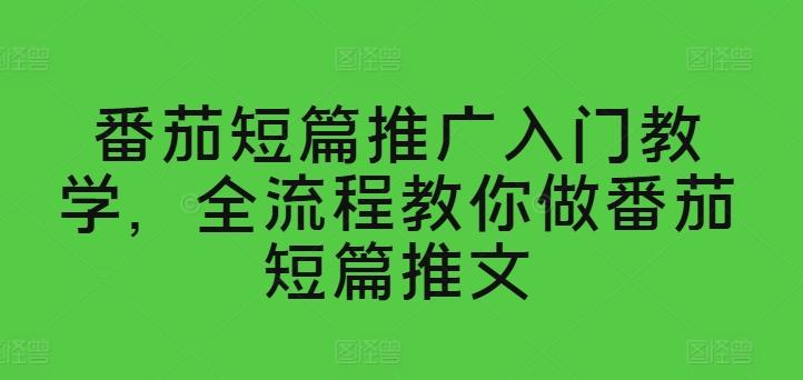 番茄短篇推广入门教学，全流程教你做番茄短篇推文-天韵资源网