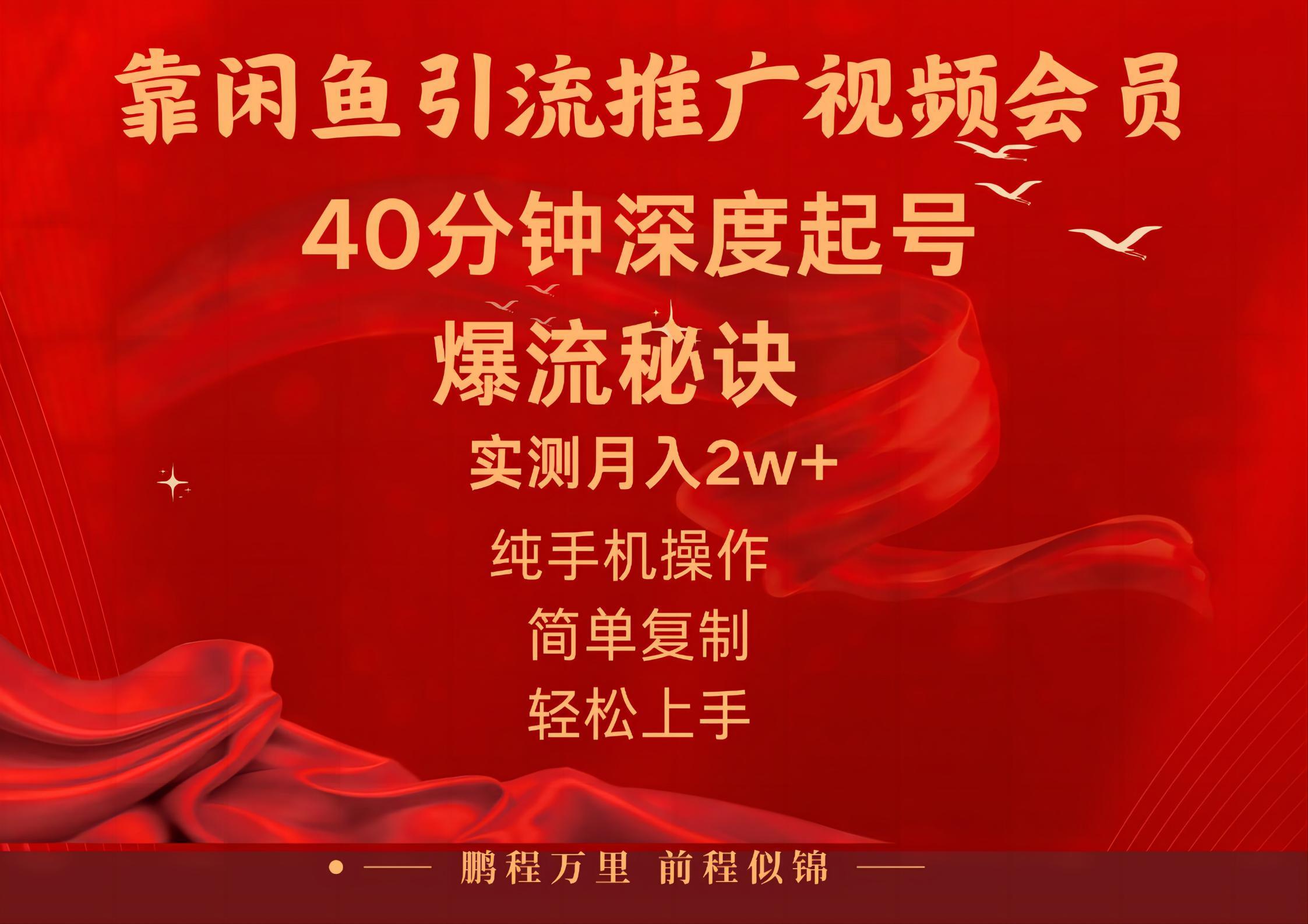闲鱼暴力引流推广视频会员，能做到日入2W+，操作简单-天韵资源网