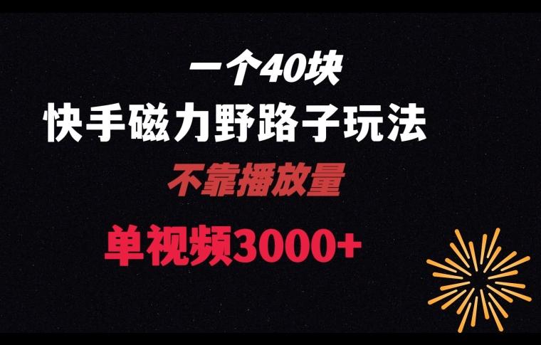 一个40块，快手联合美团磁力新玩法，无视机制野路子玩法，单视频收益4位数【揭秘】-天韵资源网