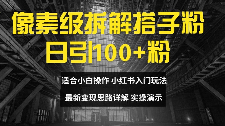 像素级拆解搭子粉，日引100+，小白看完可上手，最新变现思路详解【揭秘】-天韵资源网