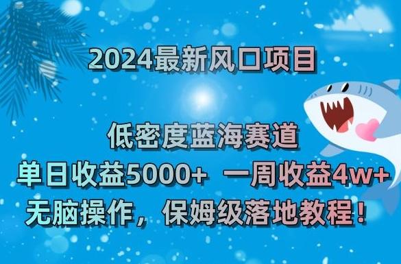 2024最新风口项目，低密度蓝海赛道，单日收益5000+，一周收益4w+！【揭秘】-天韵资源网