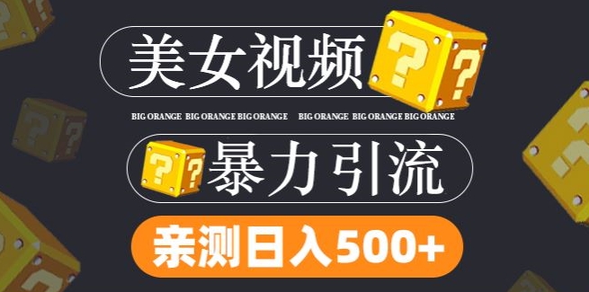搬运tk美女视频全网分发，日引s粉300+，轻松变现，不限流量不封号【揭秘】-天韵资源网