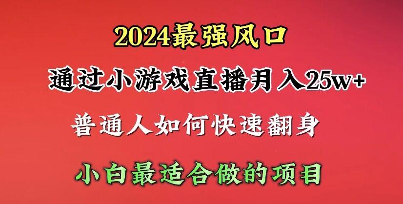 (10020期)2024年最强风口，通过小游戏直播月入25w+单日收益5000+小白最适合做的项目-天韵资源网